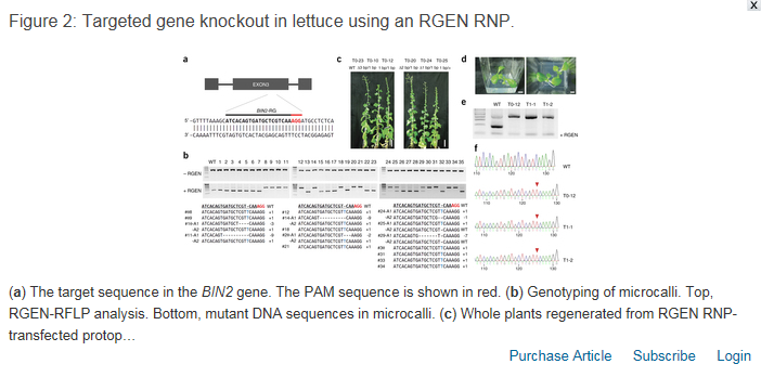 DNA-free genome editing in plants with preassembled CRISPR-Cas9 ribonucleoproteins(Nature Biotechnology_151019) 사진
