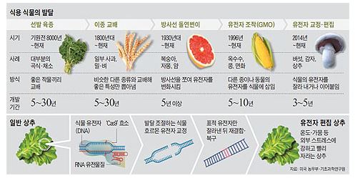 21세기 밥상엔… '유전자 가위'로 만든 두부·샐러드 (조선일보_170119) 사진